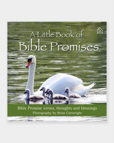 Picture of A Little Book of Bible Promises
