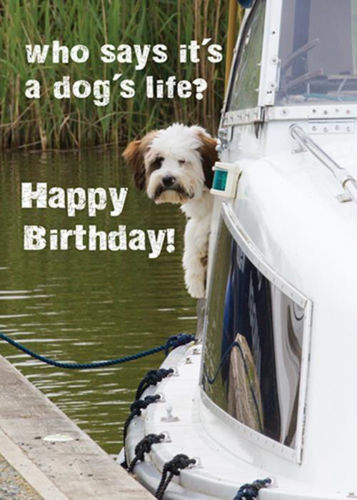 Picture of Birthday - Small Dog on boat
