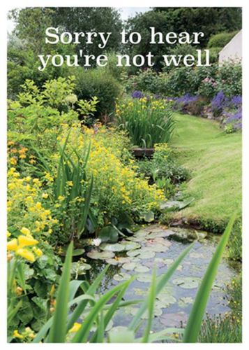 Picture of Get Well - Garden pond