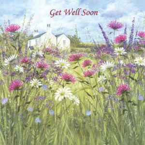Picture of Get Well - Wild flowers