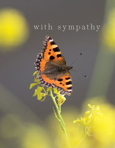 Picture of Sympathy - Tortoiseshell Butterfly